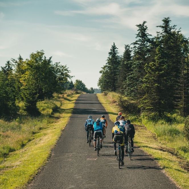 Rennradstrecke Stoneman Miriquidi Road im Erzgebirge