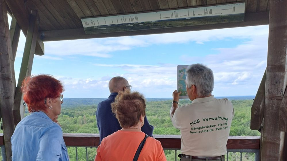 Gruppe auf der Aussichtsplattform bei geführter Wanderung im Wildnisgebiet Königsbrücker Heide