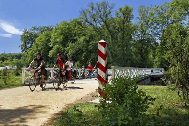 Gruppe Radfahrer die bei Sonnenschein durch den Park radelt