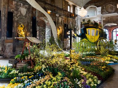 "Dresdner Frühling" im Palais im Großen Garten