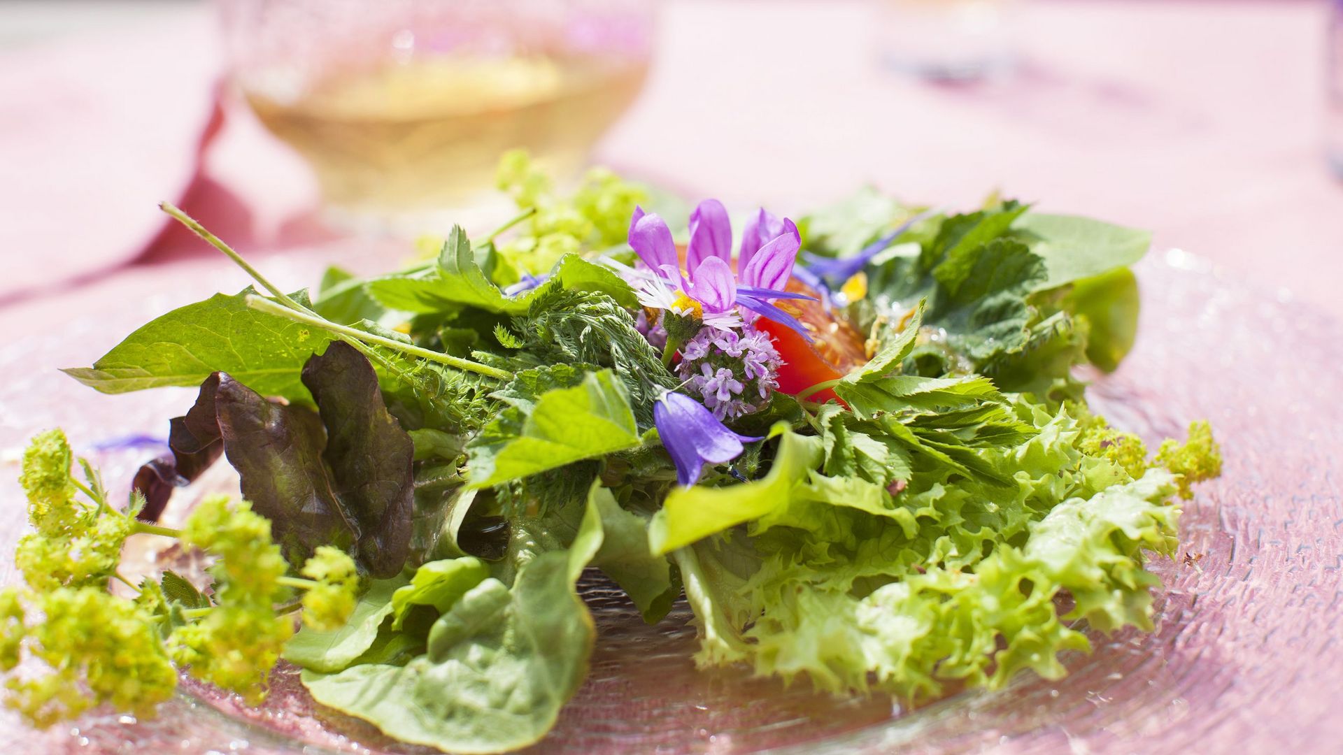 Ein Salat angerichtet mit Kräutern und Blüten. Es ist ein Gericht im Hotel Forstmeister.