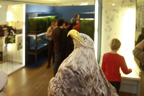 Ausstellungsräume der Themenwelt Nutzen mit Besuchern