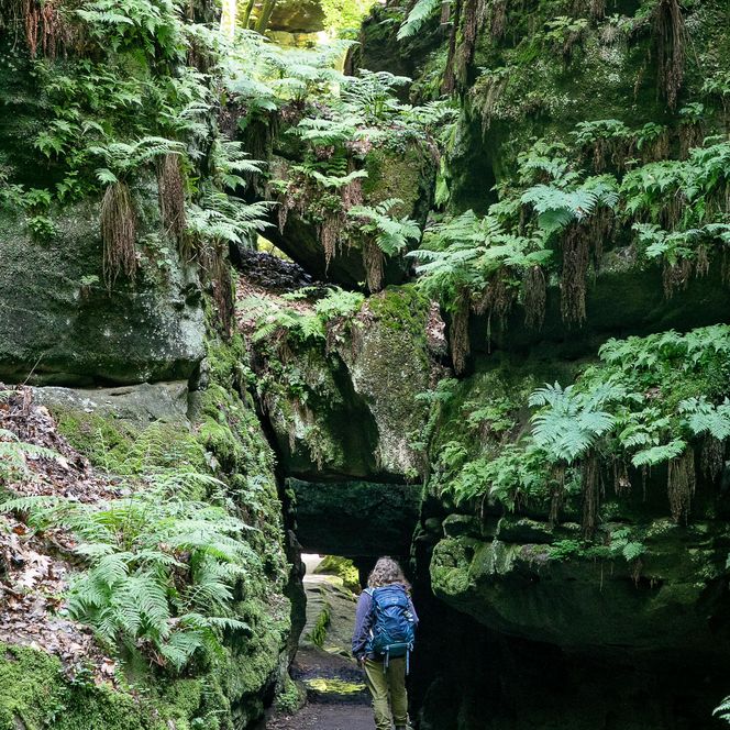 Das Steintor im Uttewalder Grund