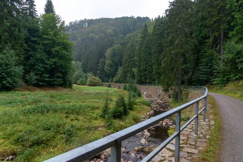 Die Schwarze Pockau ist ein Moorwasser, das durch das Schwarzwassertal fließt. 