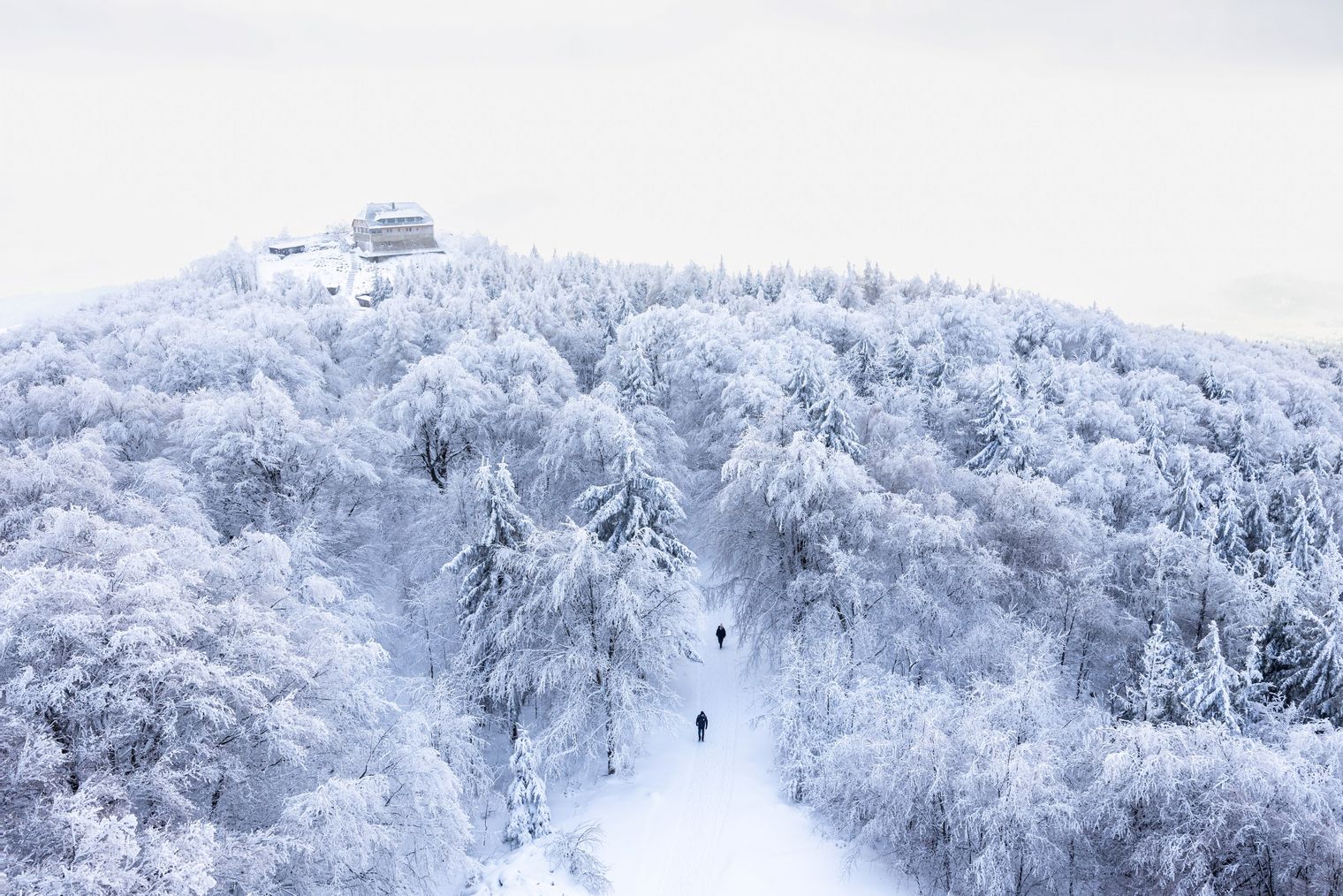 Hochwald am Oberlausitzer Bergweg im Zittauer Gebirge - ein Wintermärchen