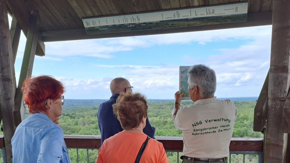 Gruppe auf der Aussichtsplattform bei geführter Wanderung im Wildnisgebiet Königsbrücker Heide