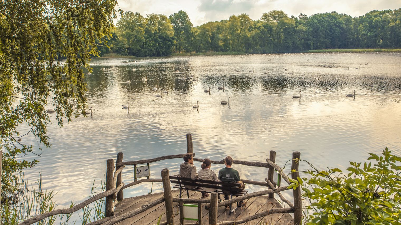 Paar und Ranger sitzen auf einer Bank mit Blick auf die Teichlandschaft im Biosphärenreservat Oberlausitzer Heide- und Teichlandschaft.