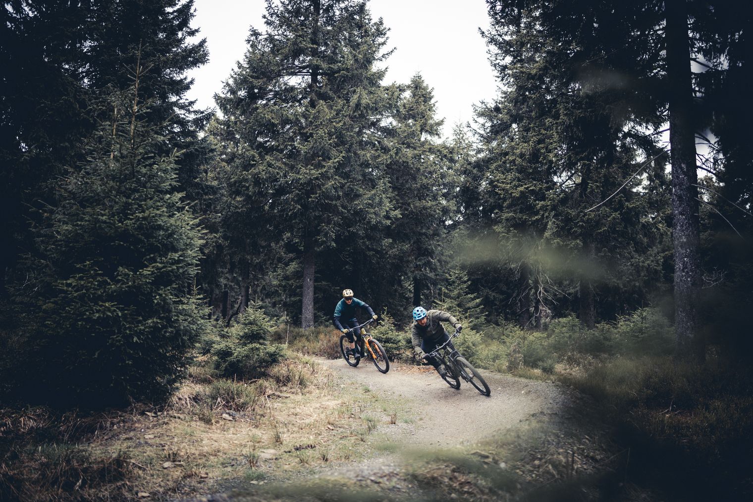 MTB-Road Trip durch Sachsen