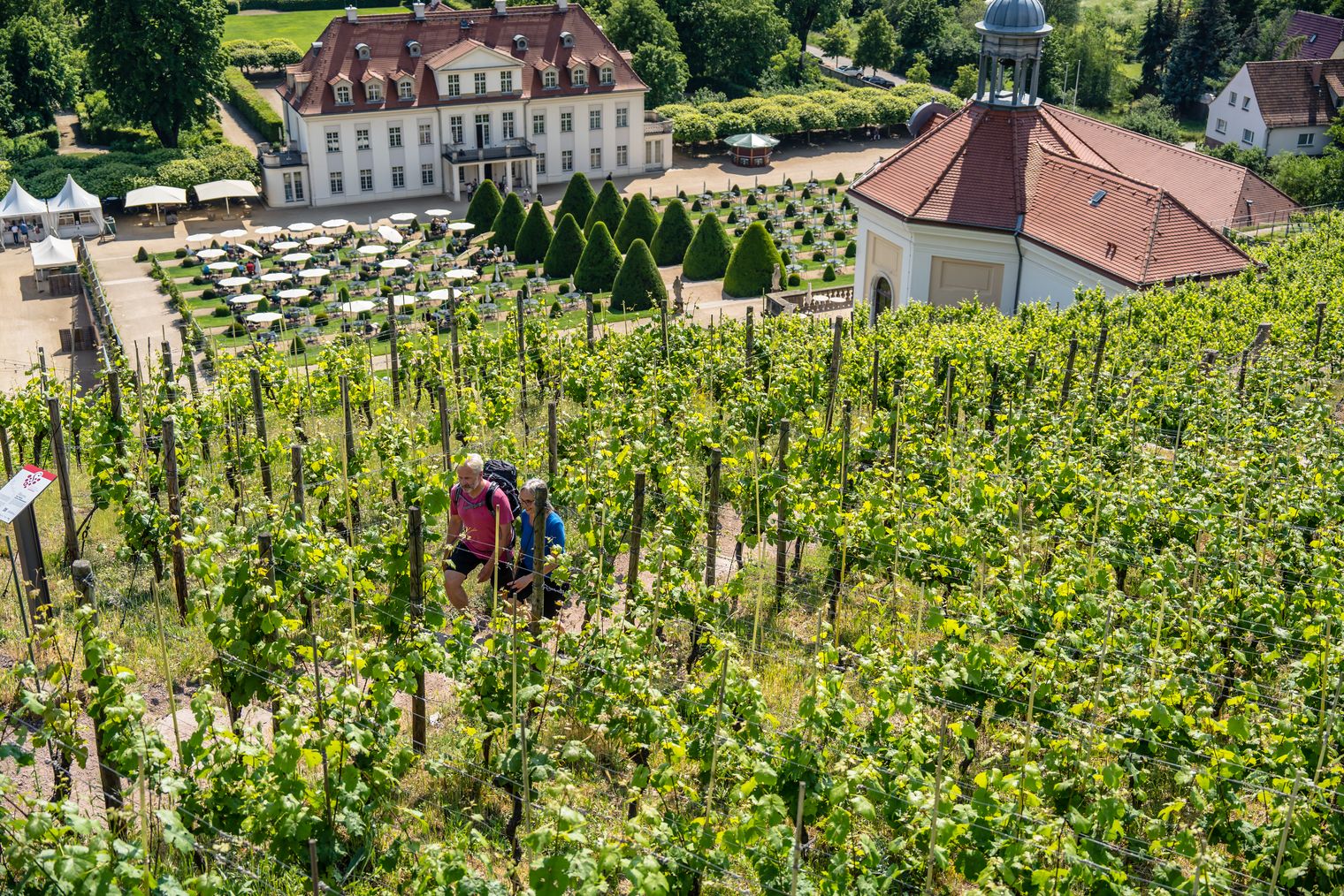 Sächsischer Weinwanderweg, Weingenuss, Schloss Wackerbarth in Radebeul