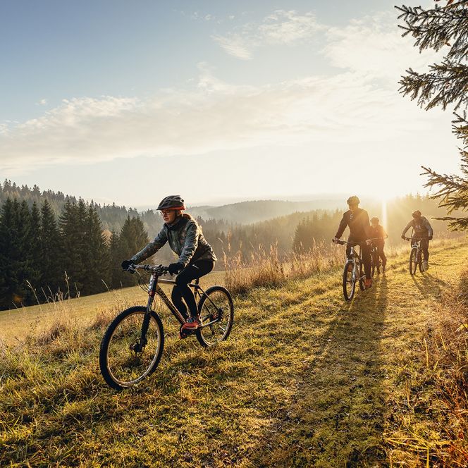 Blockline Abenteuer für die ganze Familie im Erzgebirge