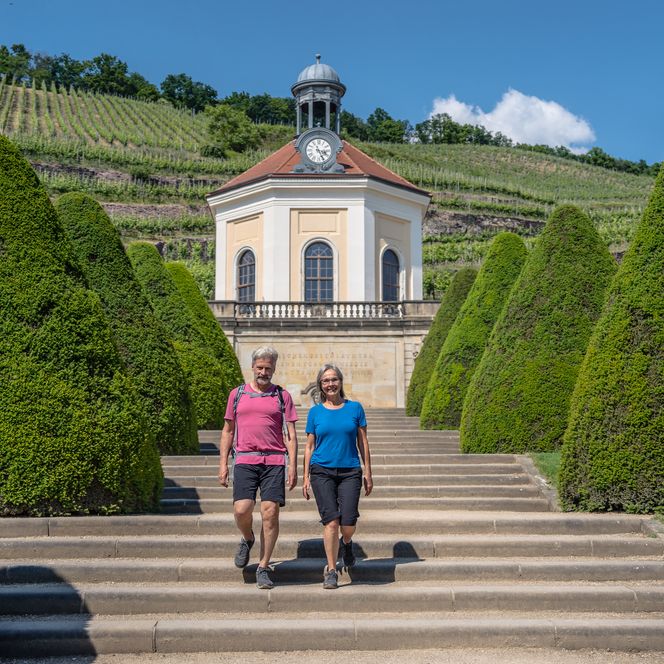 Sächsischer Weinwanderweg, Weingenuss, Schloss Wackerbarth in Radebeul