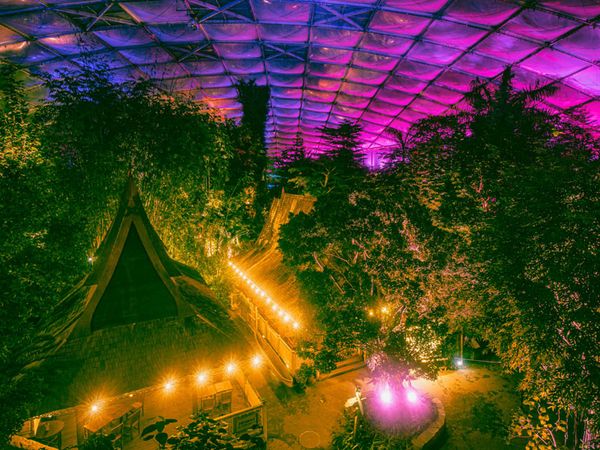 Magisches Tropenleuchten im Zoo Leipzig