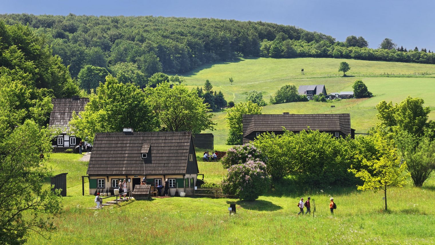 Historische Hauser inmitten von Wiesen und Wäldern