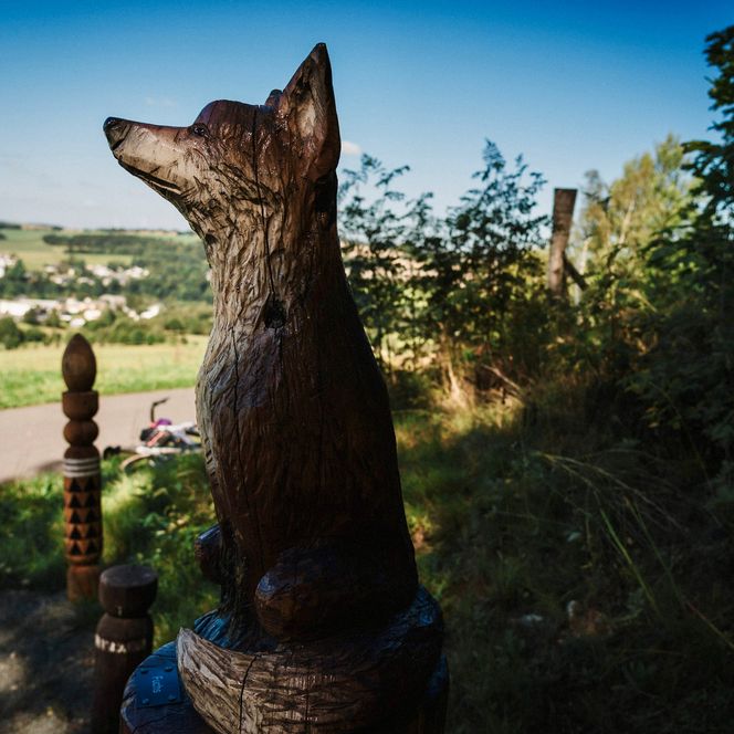 Blockline Route in Neuhausen, Holzfigur Fuchs