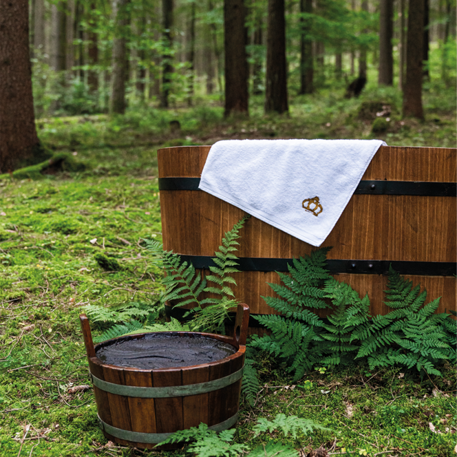 Moor im Wald