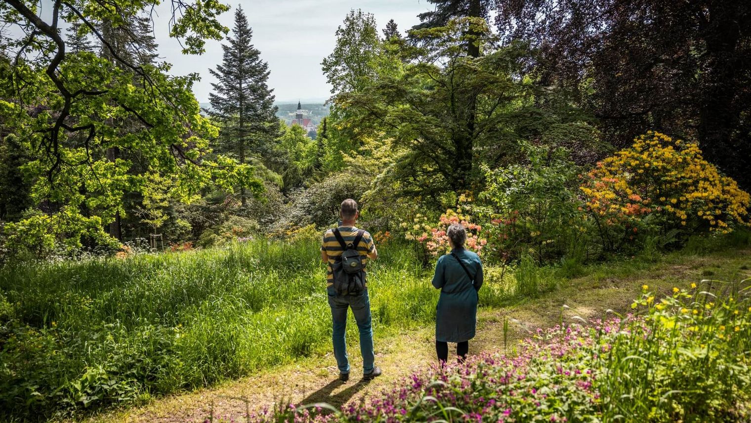Rhododendronpark auf dem Hutberg Kamenz